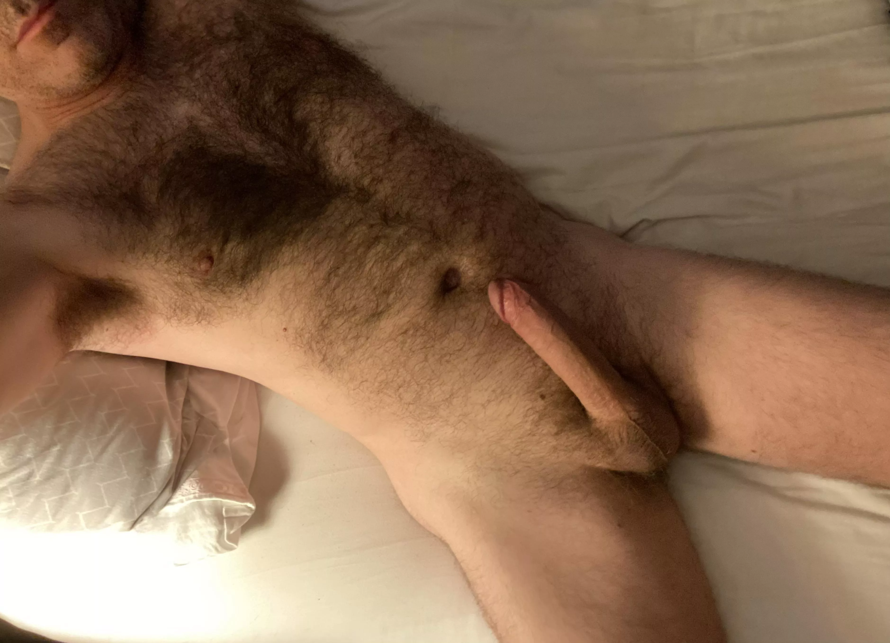 Anyone hungry for lunch ? (51)