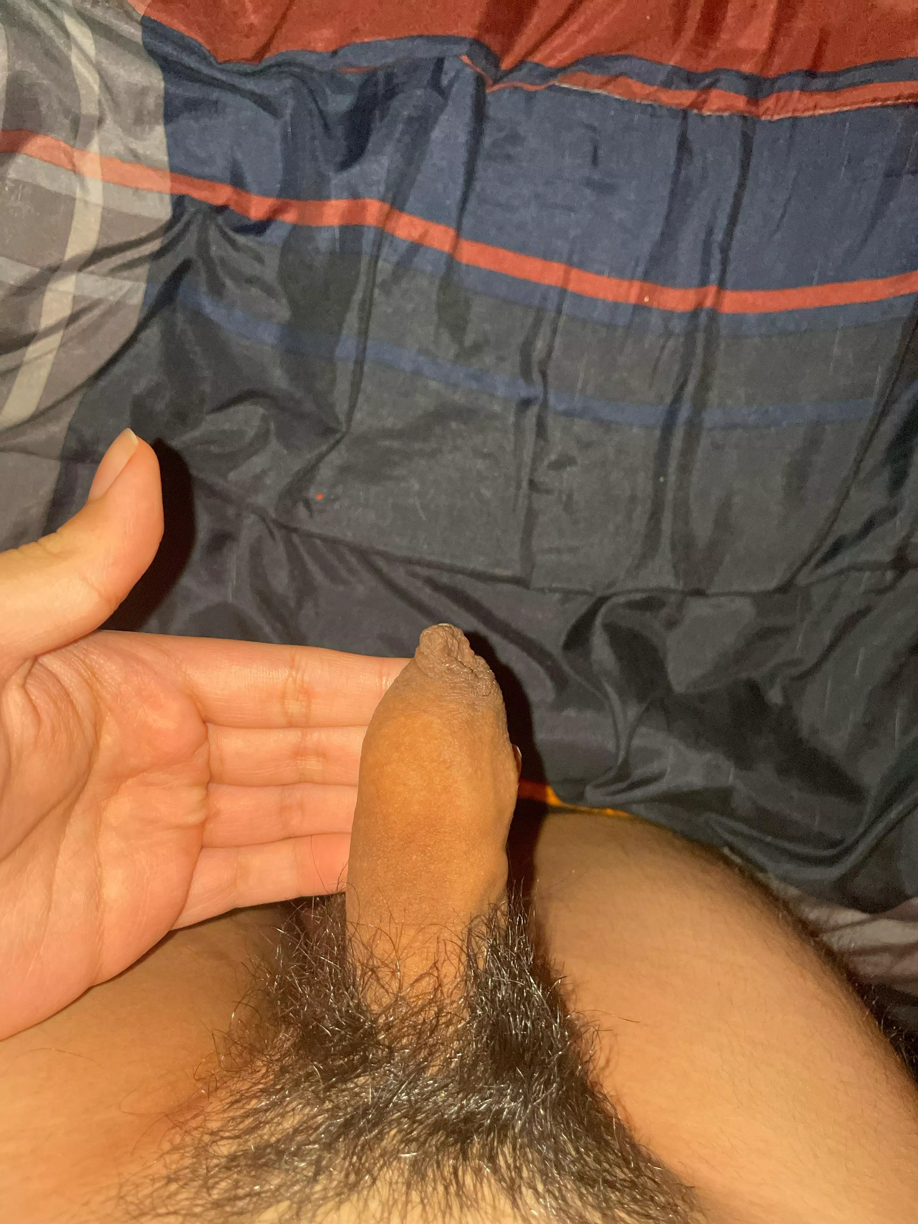 Anyone wanna compare with a straight male and see how thick this cock gets when hard hmu