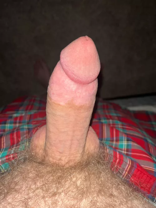 Borderline softie, I have been jerking off daily, so I think this still Qualifies as a softy