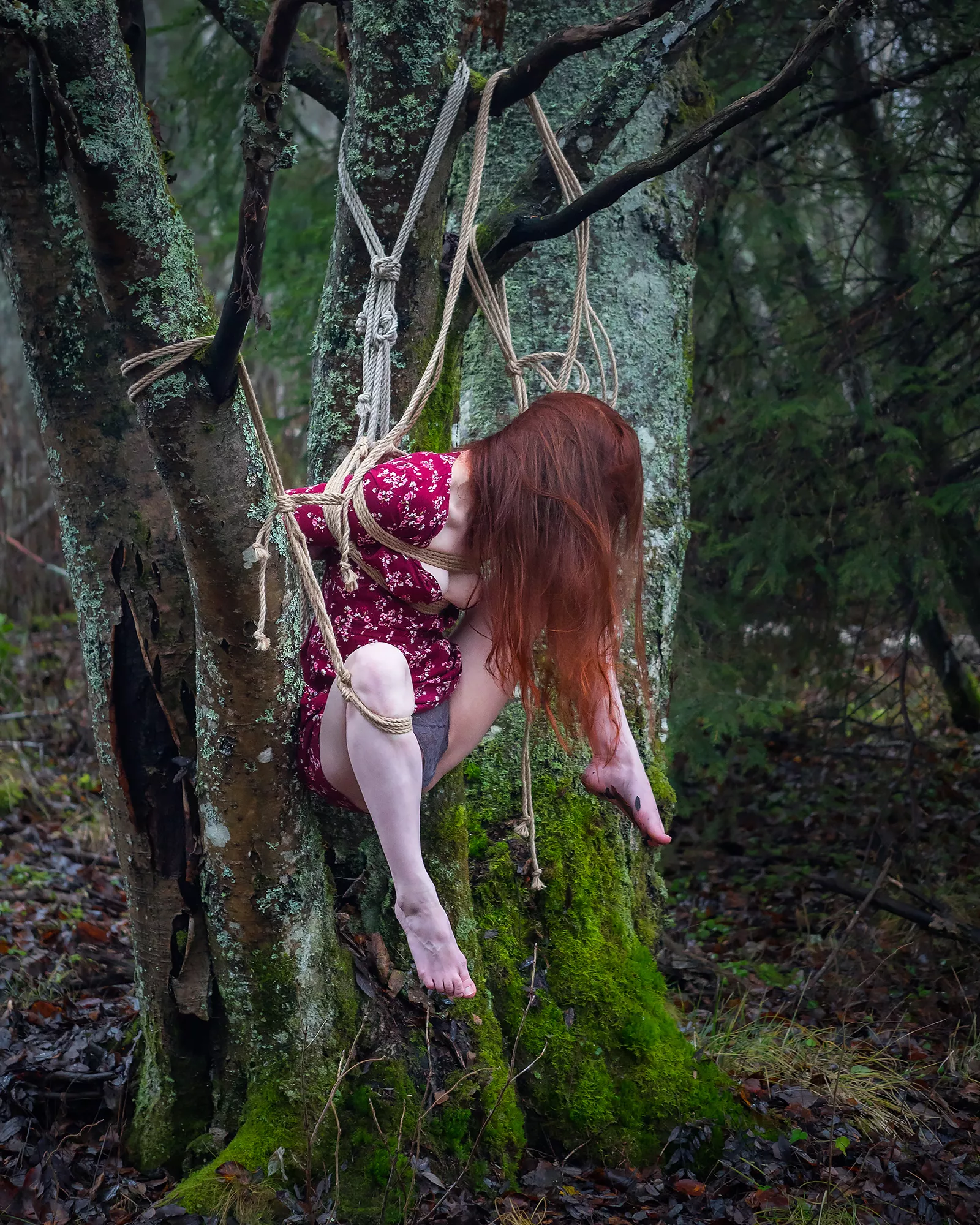 Bound to the sacred rowan