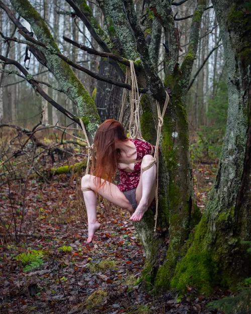 Bound to the sacred rowan