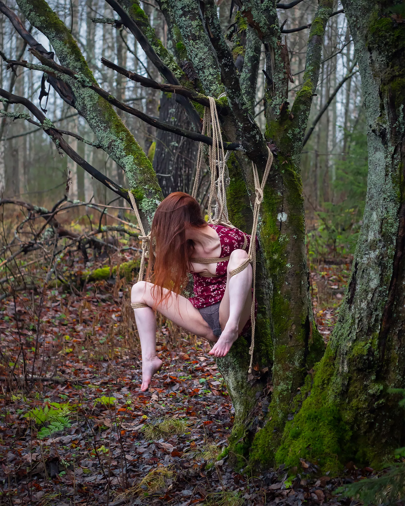 Bound to the sacred rowan