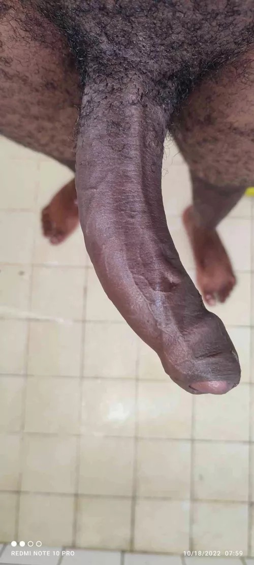 cum suck this curv dick