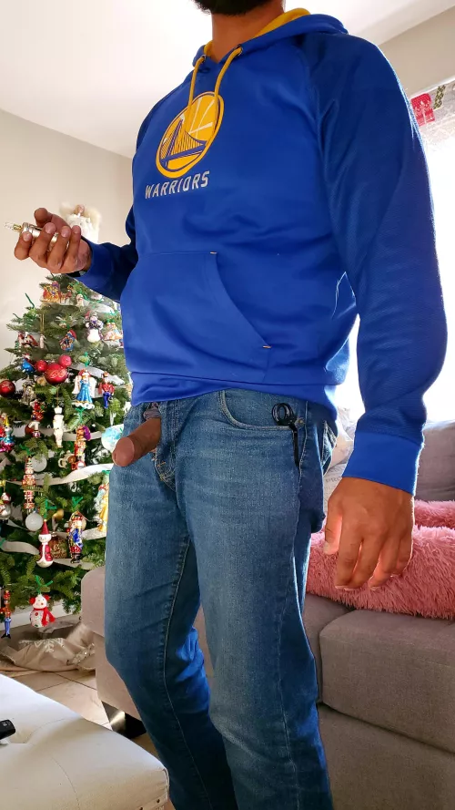 Did you erect your tree yet?