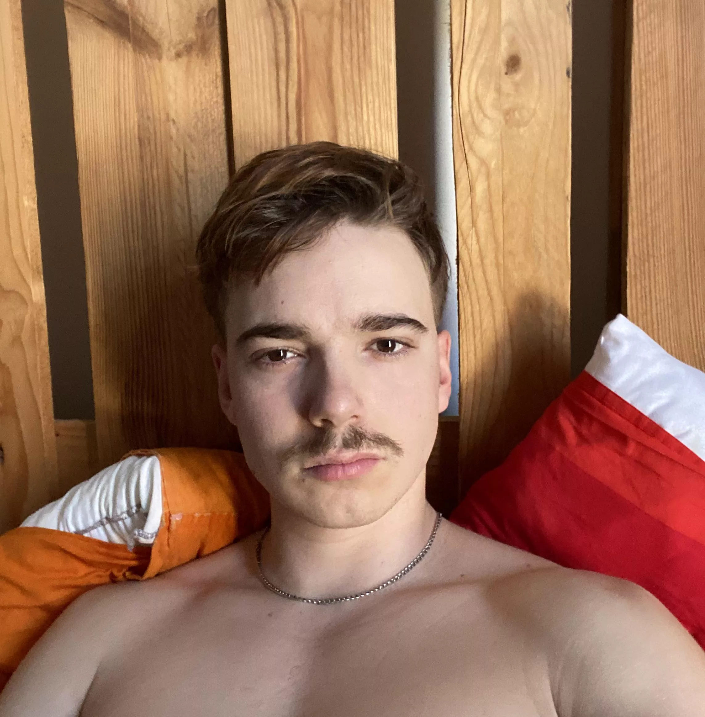 Do we like the moustache?