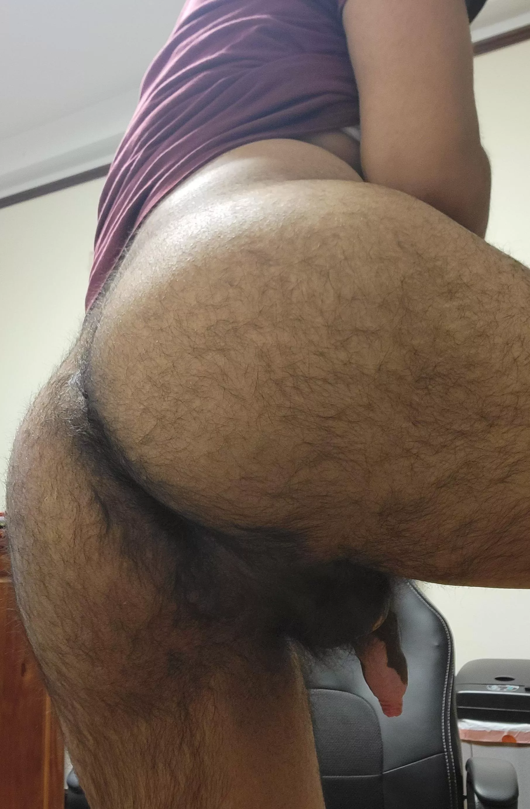 Explore the Wilderness