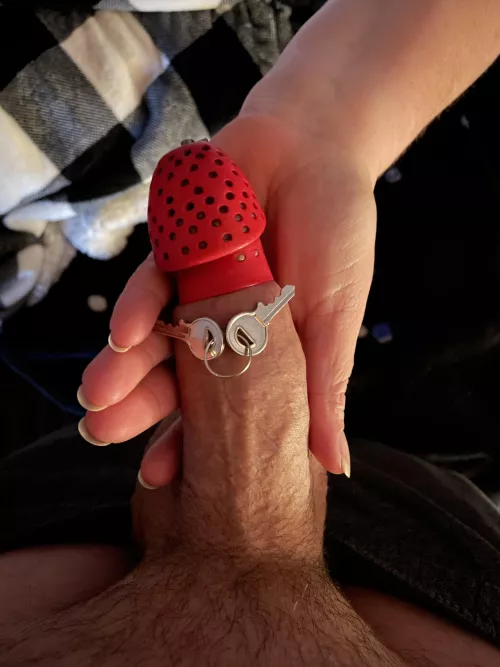 Felt like the stars aligned last knight because my queen let me out finally after 40 days locked up in chastity and gave me a very nice and long blow job and she brought me to the edge probably around 10 to 12 times and told me I better not cum or she wi