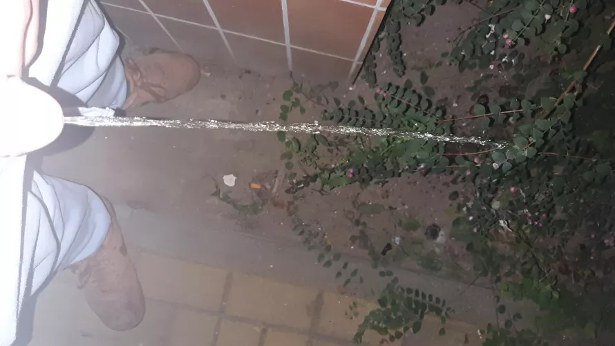 i have a video if you want