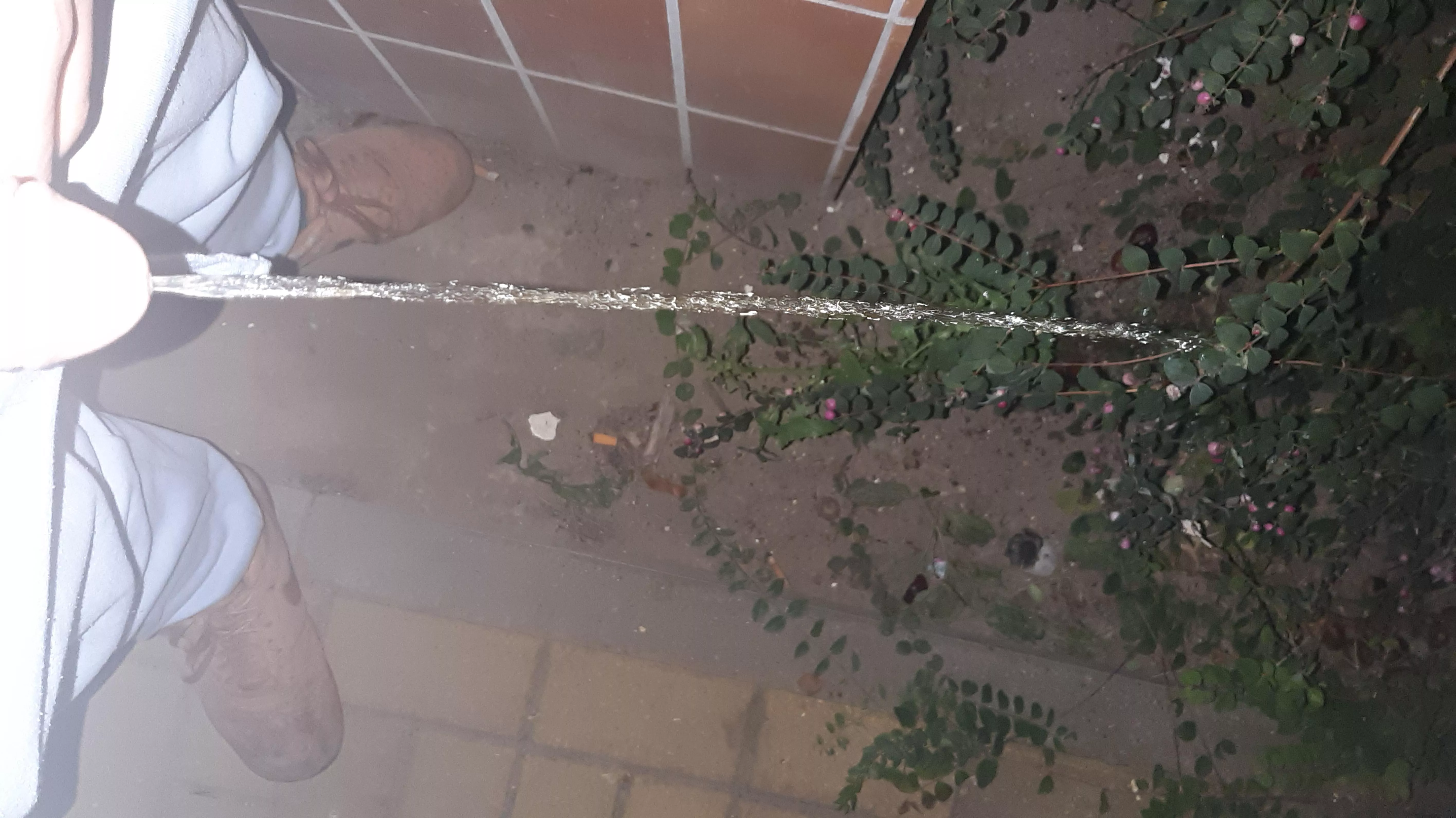 i have a video if you want