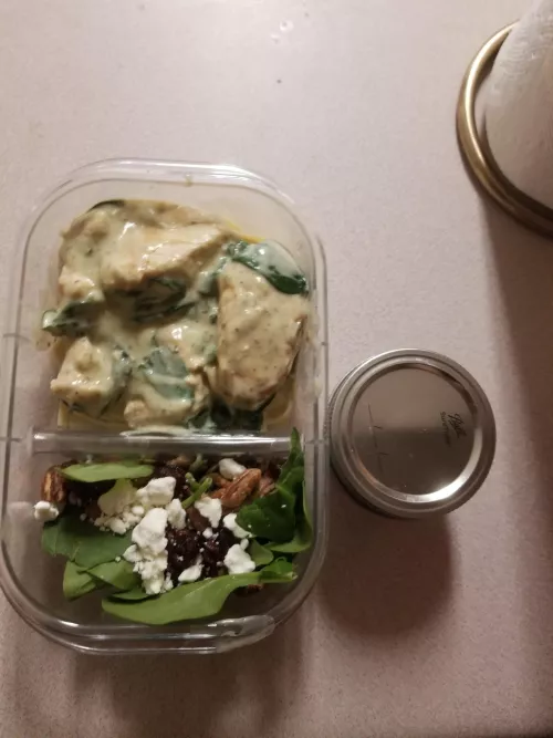 i made lunch for my master, chicken and spinach alfredo with a candied walnut salad