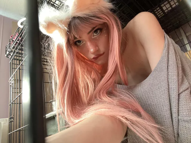 I promise I’ll be good, let me out? 🥺