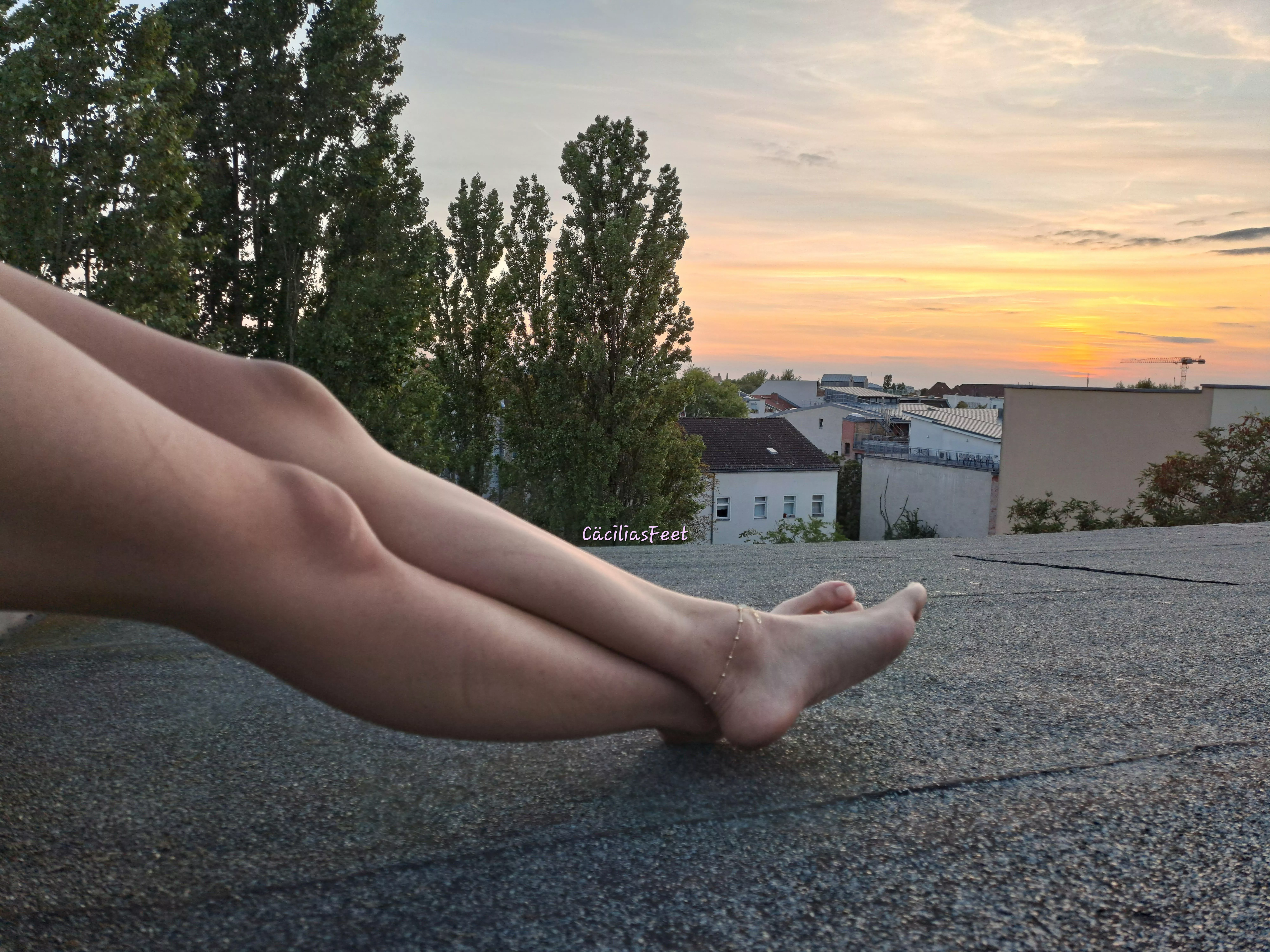 I really like this picture