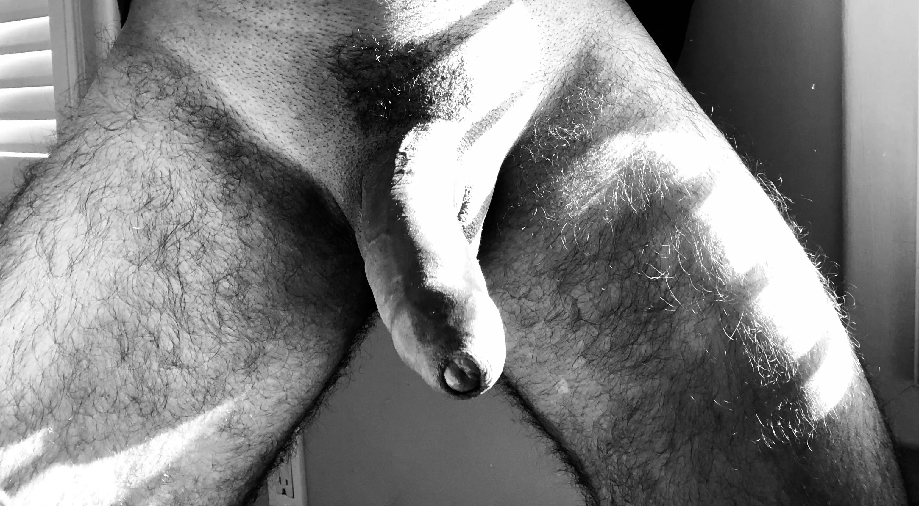 If Angela White sees this, hit me up.