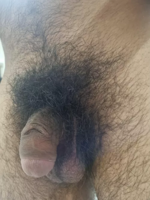 Is this bushy enough or would more be better?