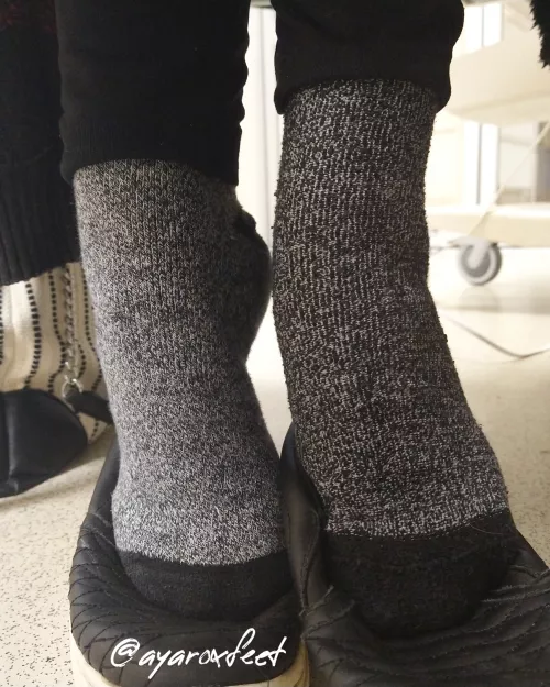 It's cold out! I went with wool work socks today. (F)