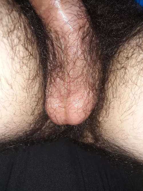 lick my hairy sweaty nutsack