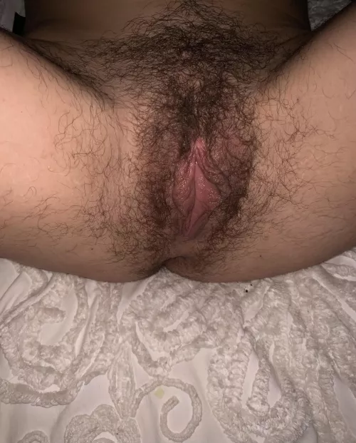 My bush is spreading everywhere