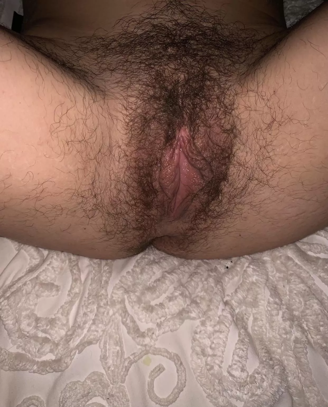 My bush is spreading everywhere