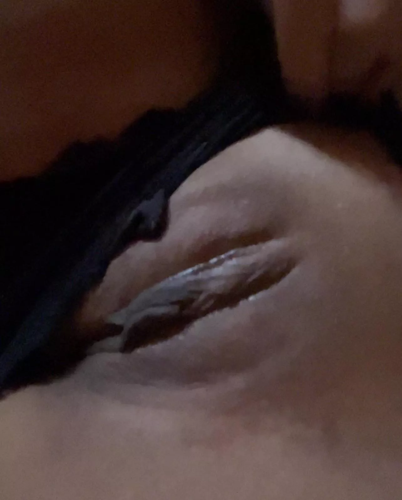 My (f)irst pussyfie.🤣