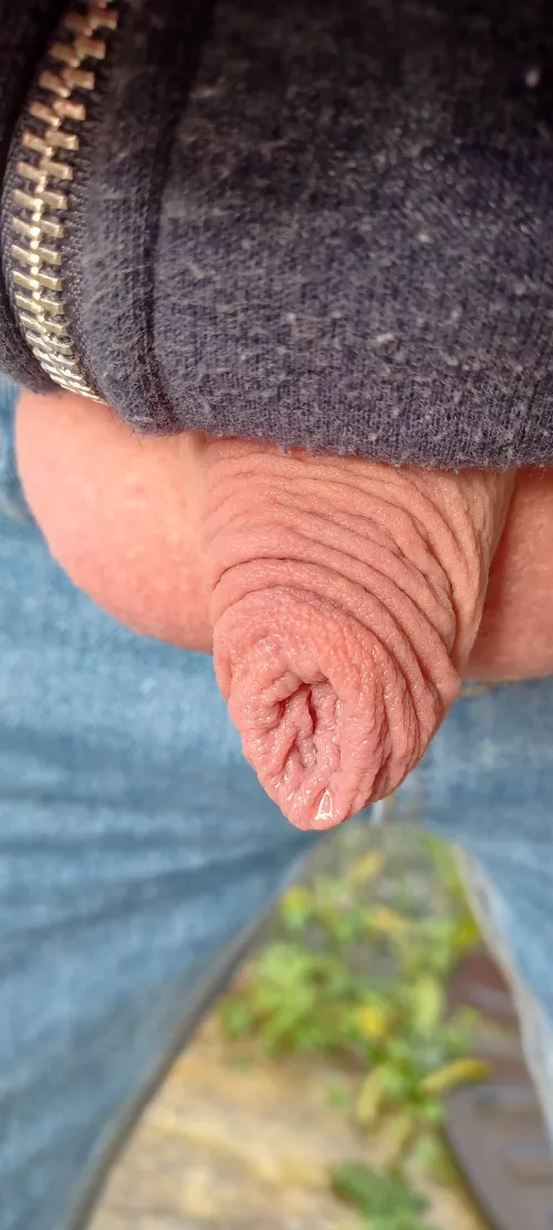 my still pissy wet foreskin
