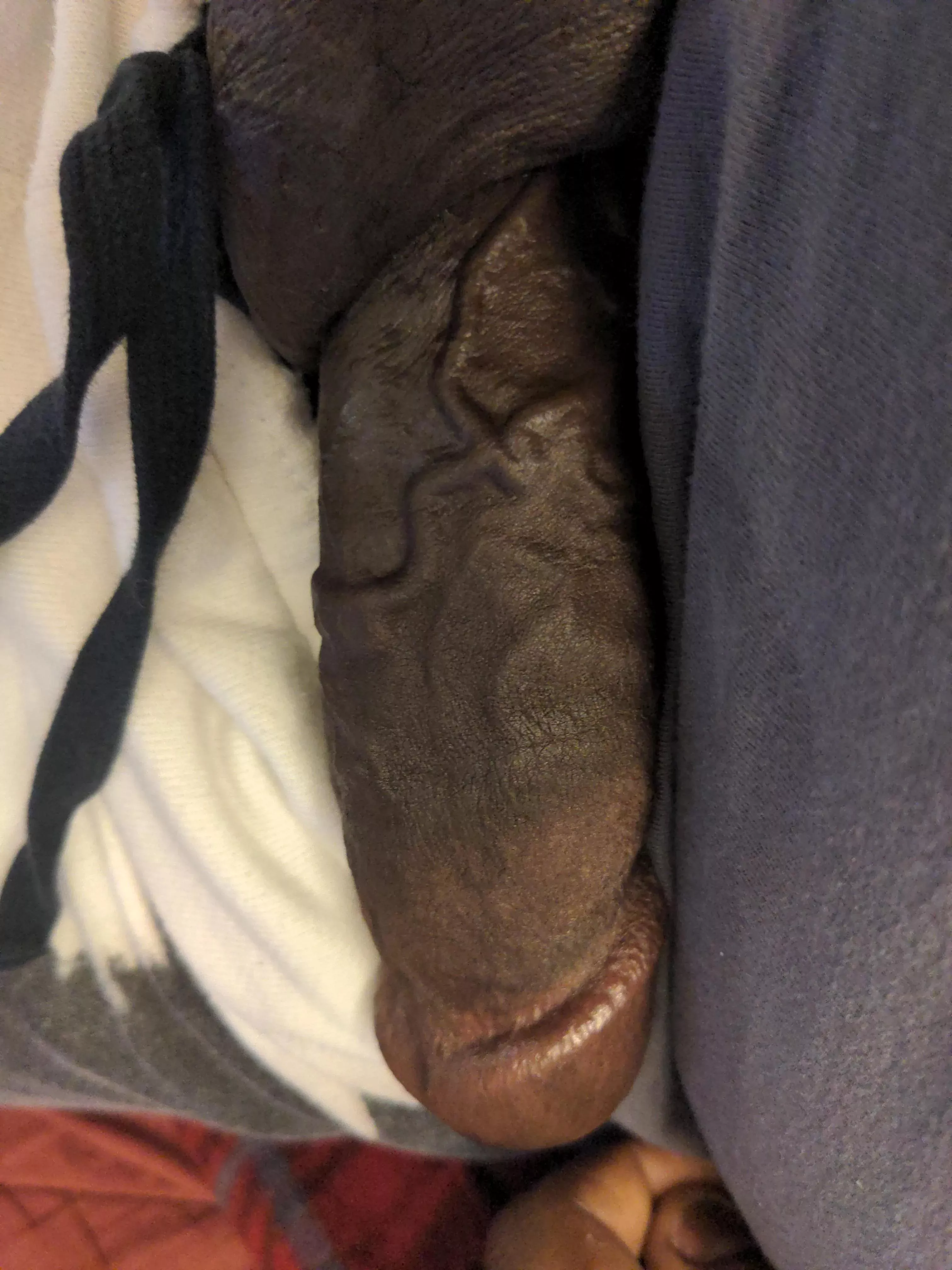 Nice hard cock for whoever wants it