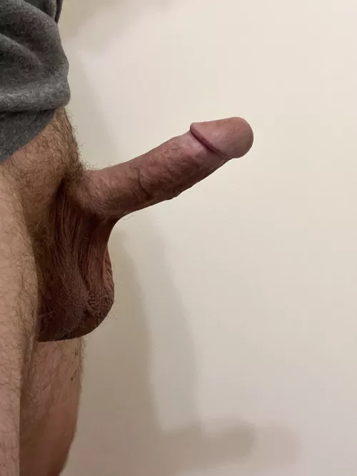 Thoughts on a gym teacher?