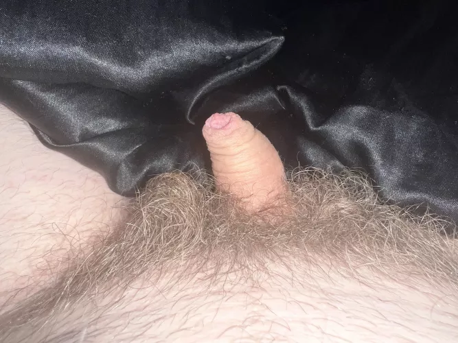 Virgin male 22, 1 month no shave, do I leave or trim? I’m small so im worried it might overgrow and hide it and possibly hurt if it overgrows it?