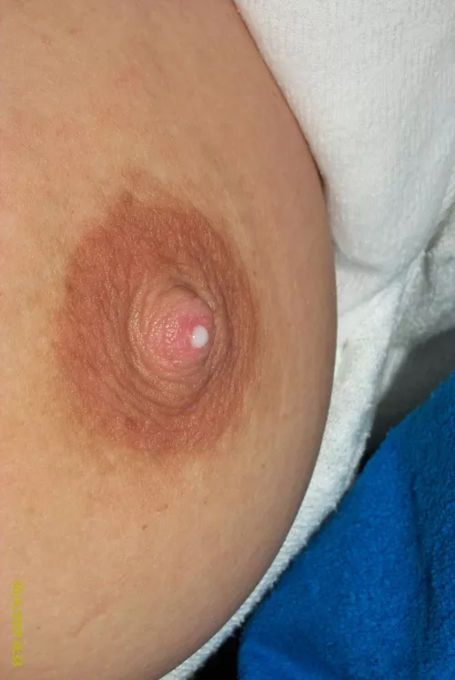 why do Y'all like seeing us breastfeed so much???