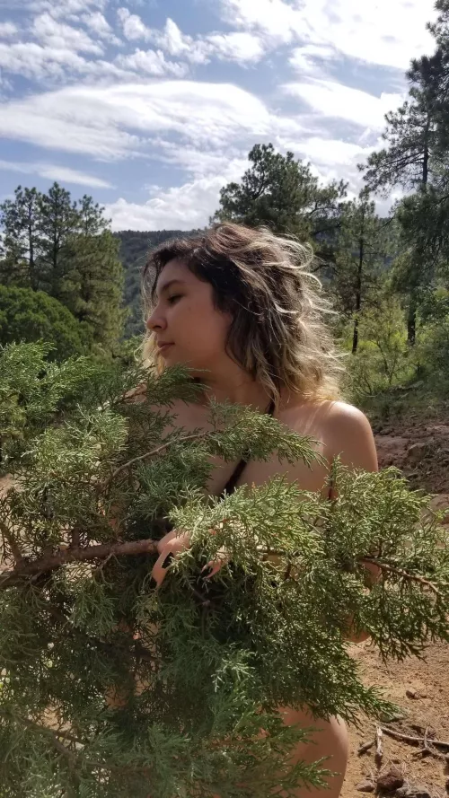 (You) read Adonais’ last triumphant stanzas aloud—wept, realizing how we suffer -Allen Ginsberg