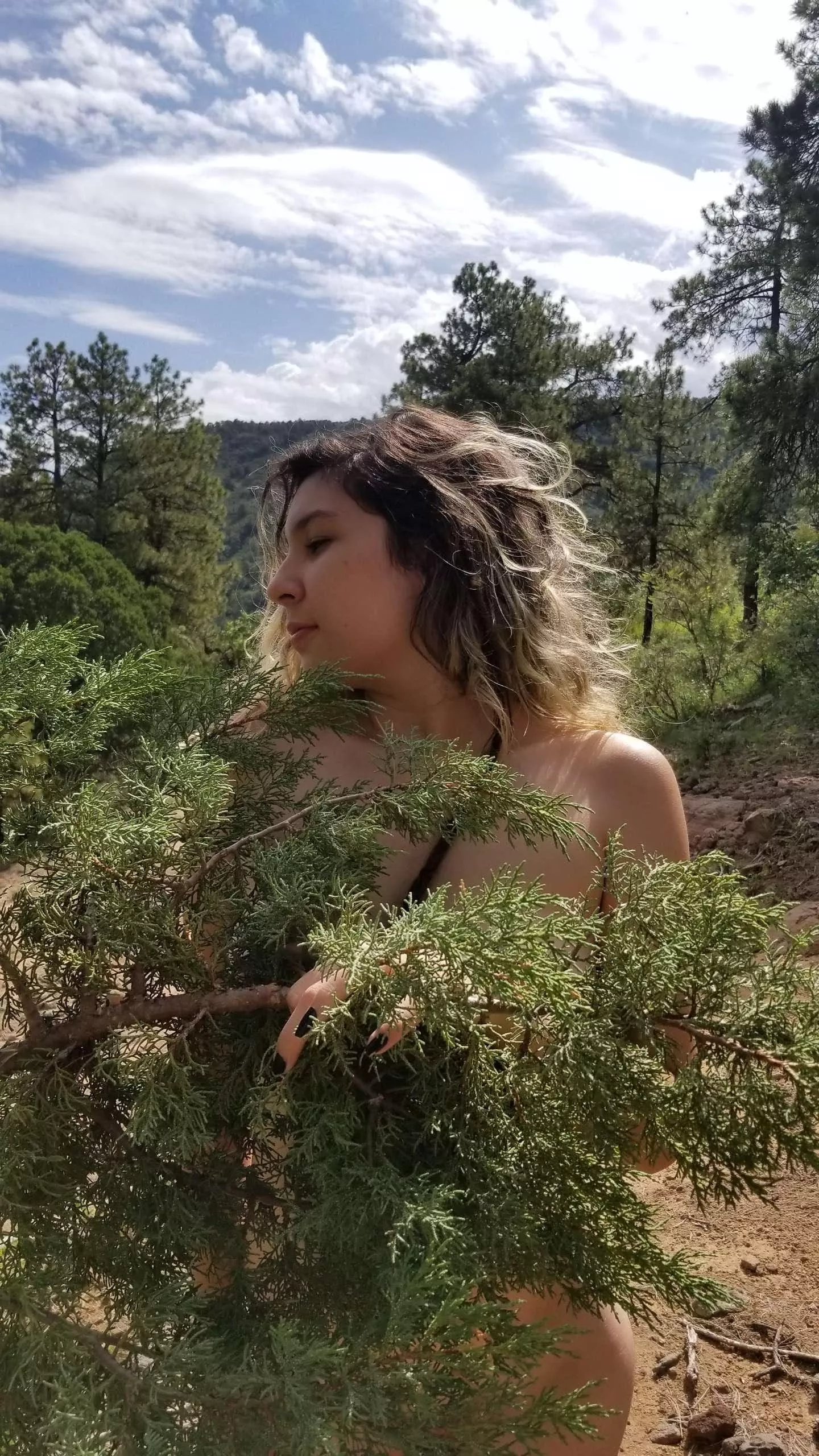 (You) read Adonais’ last triumphant stanzas aloud—wept, realizing how we suffer -Allen Ginsberg