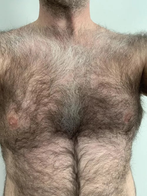 (37) never want to shave