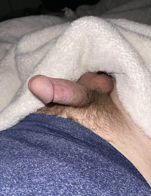 Anyone want to chat, trade nudes, jerk? I also live in Colorado if you want to meet up. Must be discreet if that's the case. I'm bi, masculine, 30, and prefer other masculine guys around my age.