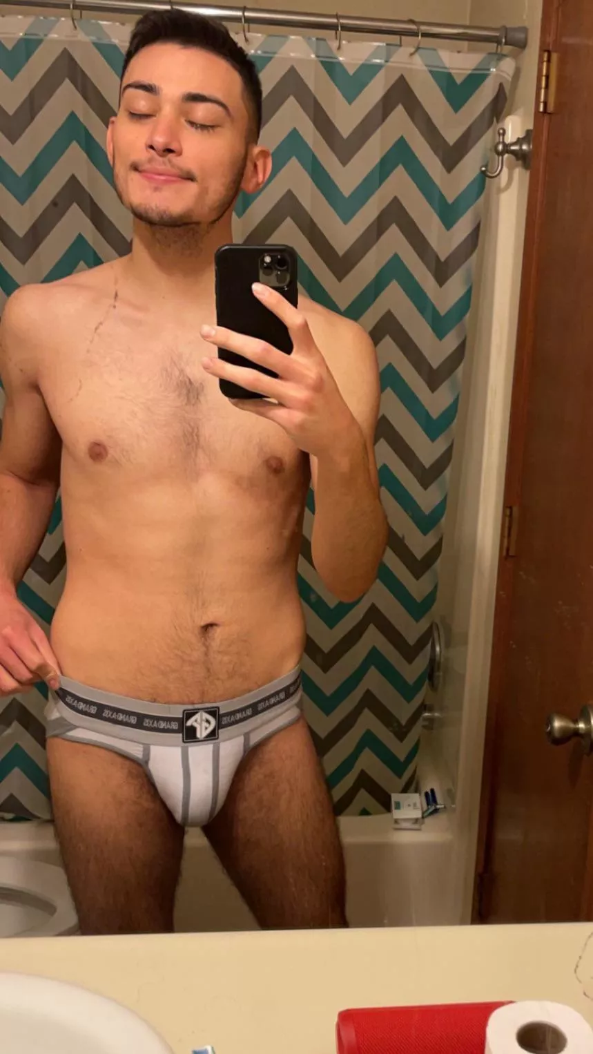 Briefs