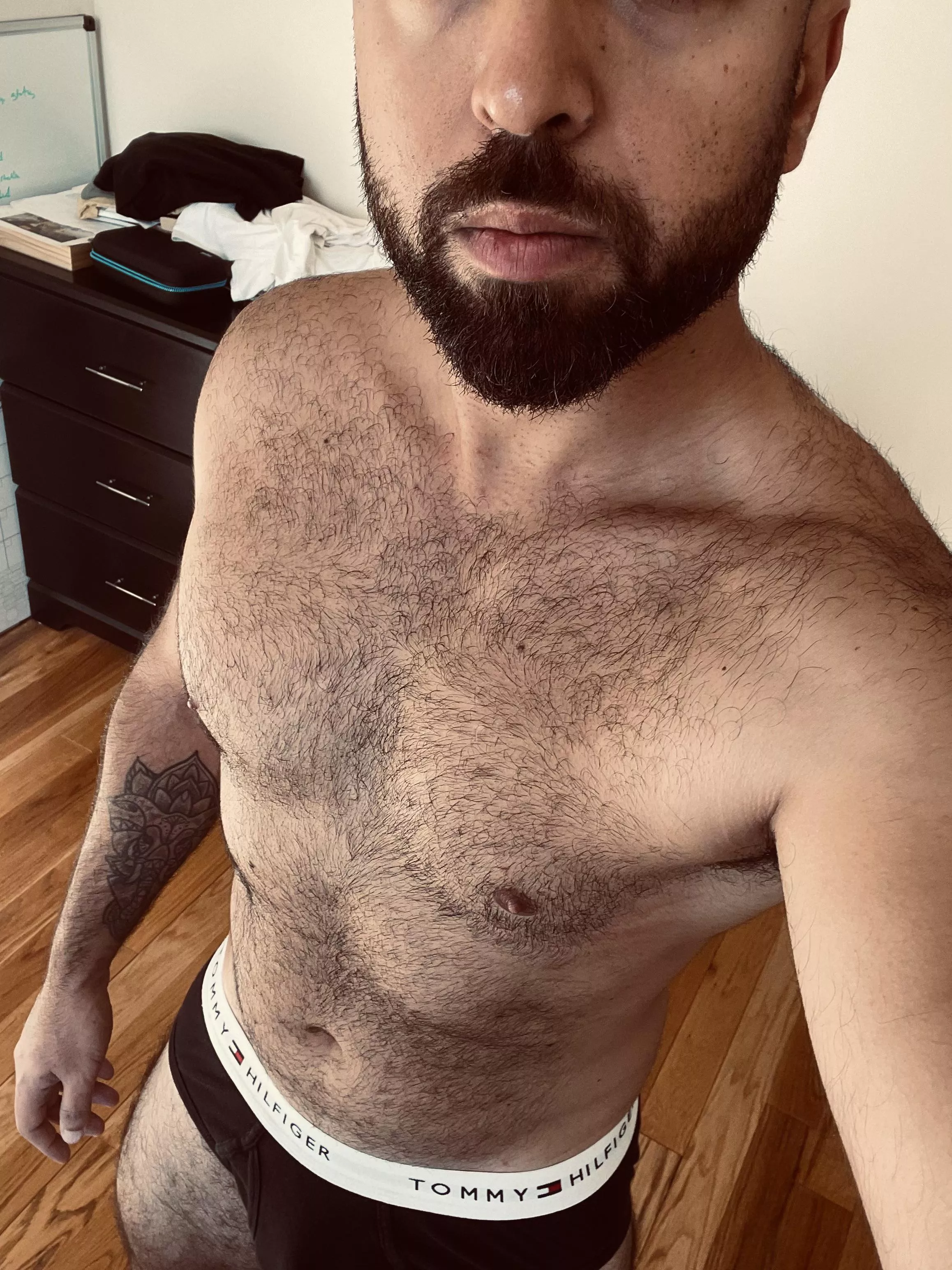 chest hair growing back!