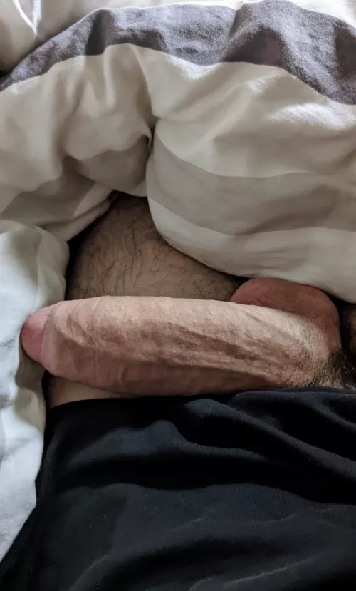 Do you like semi hard cock?