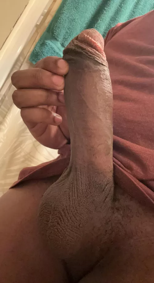 For your viewing pleasure