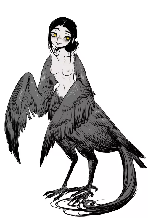 Harpy, by @chillsamgong