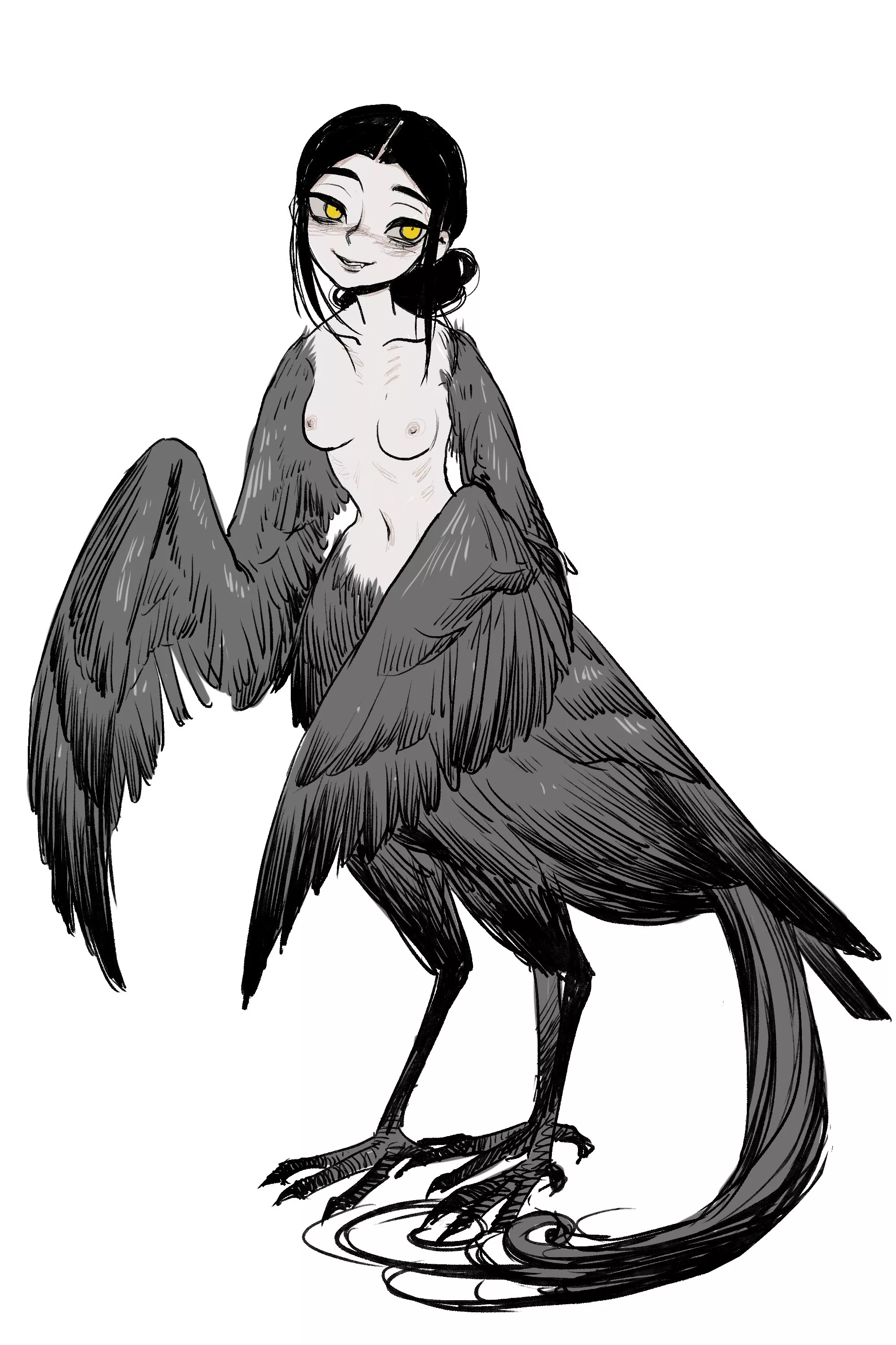 Harpy, by @chillsamgong