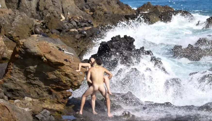 having sex by a bunch of seals! do you see them in the back?