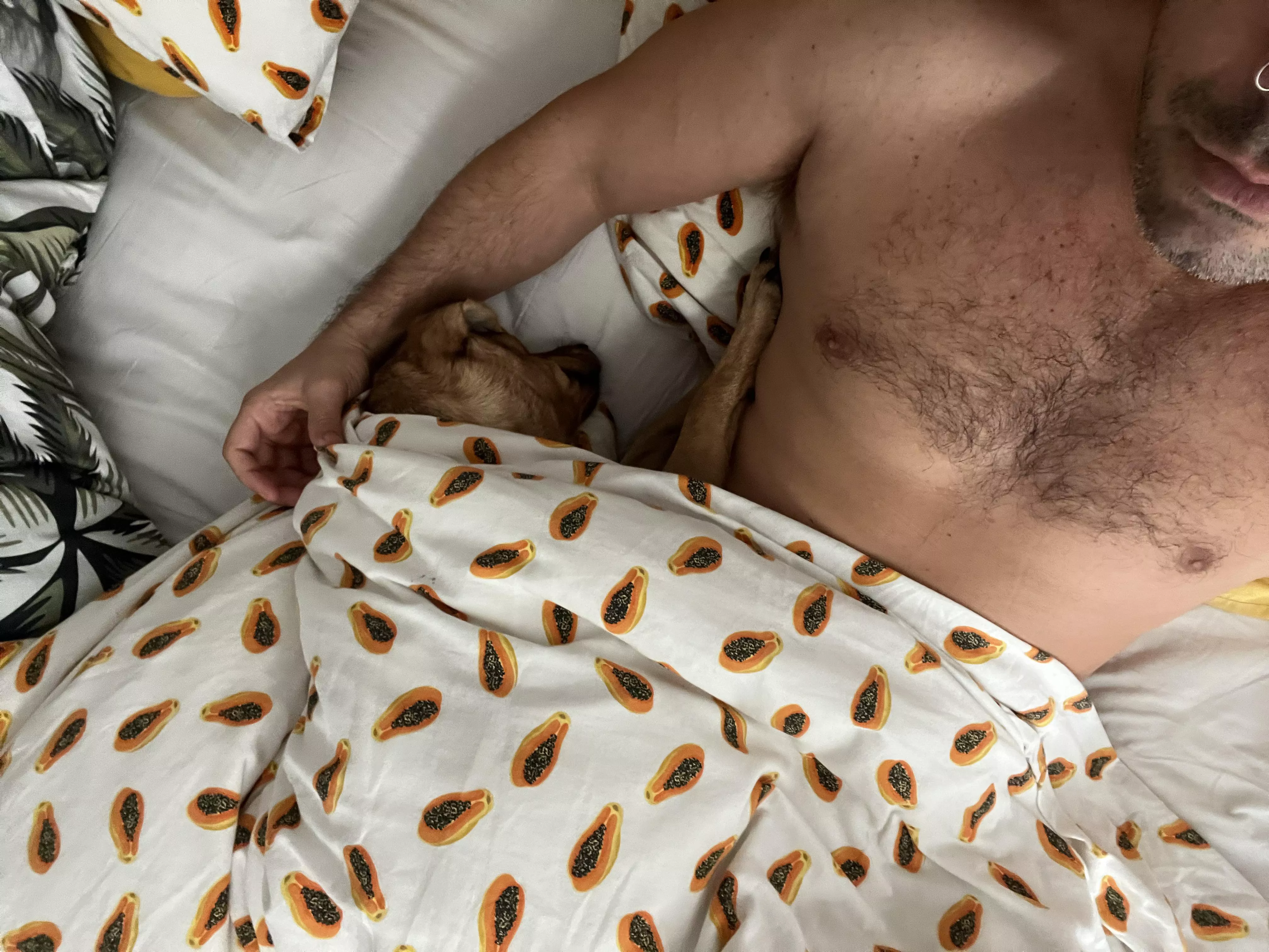 I can be you otter baby