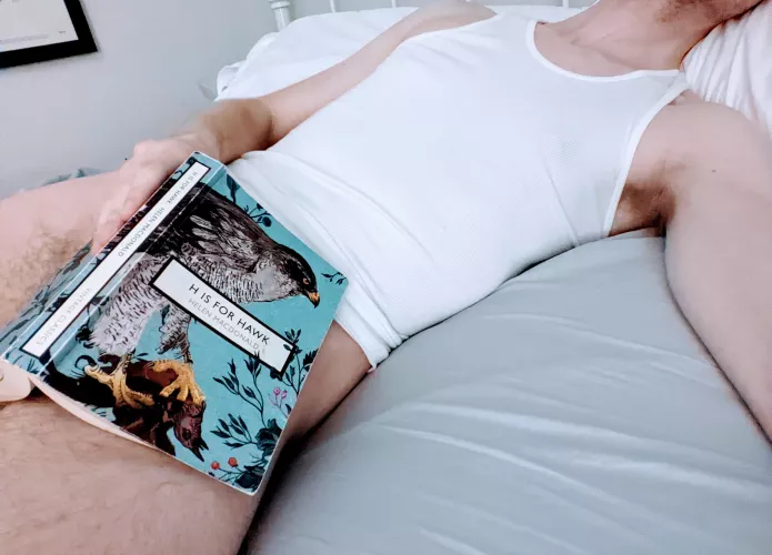 If H is for Hawk, then C is for...