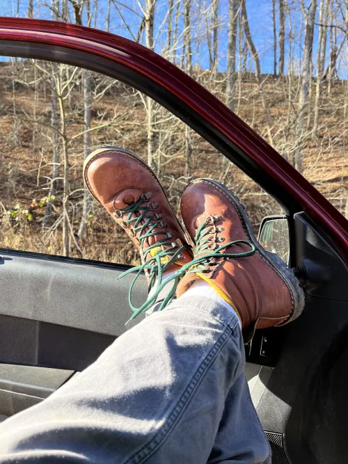 if you’re thinking about getting jim greens, do it