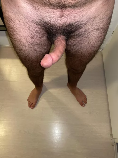 Insanely hairy dick