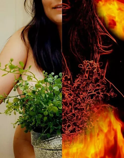 Life and fire. 🌱🔥