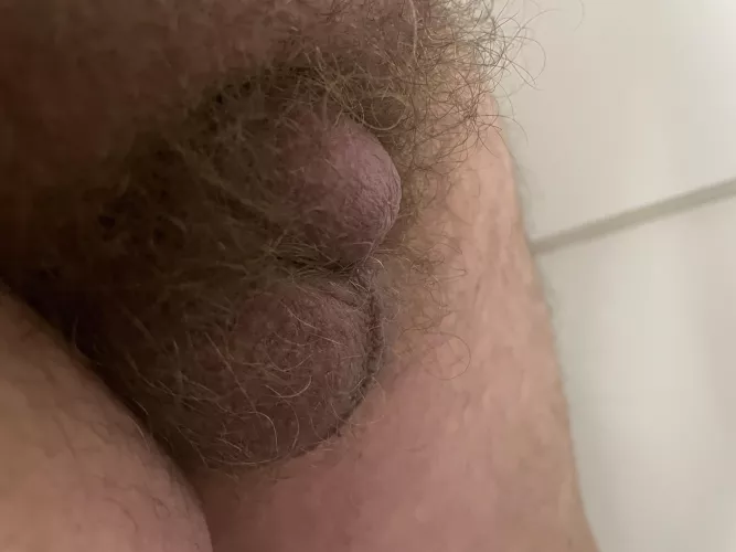 Little help pulling it out?