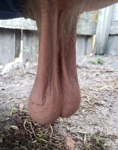 long balls, when one hangs lower than the other it's time to bust. No weighting , natural.