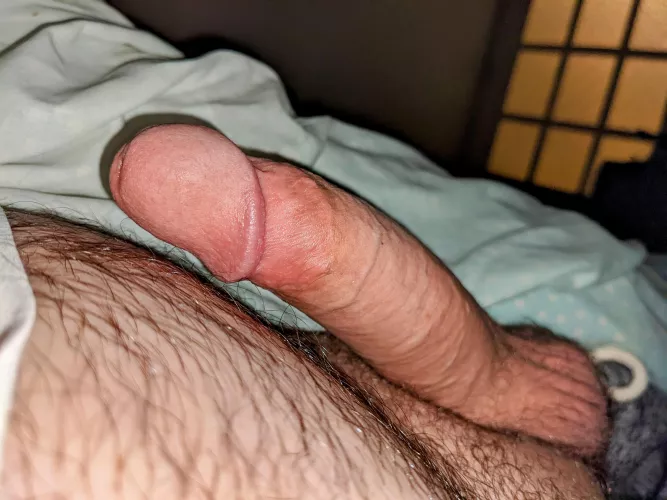 Morning wood (46)