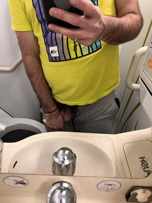 My hairy softie at 38000'