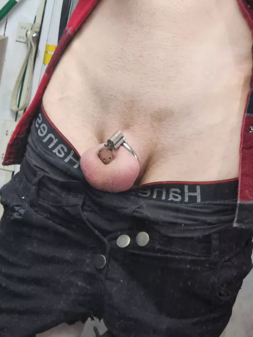 new cage came today 🥰