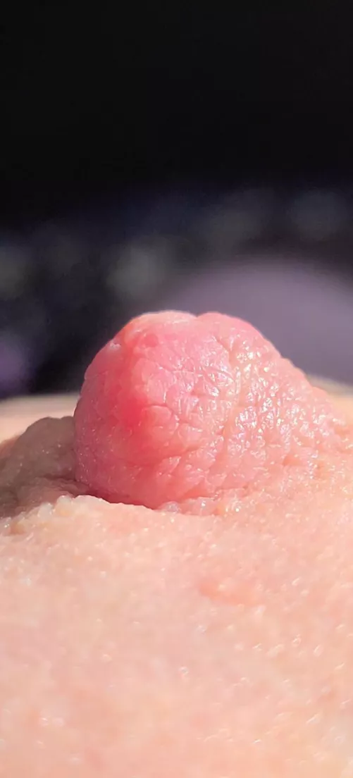 please enjoy this extreme closeup